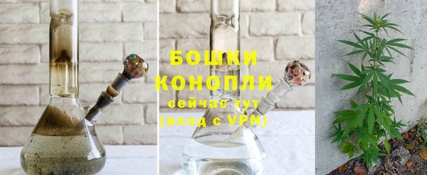 молекула духа Заволжск
